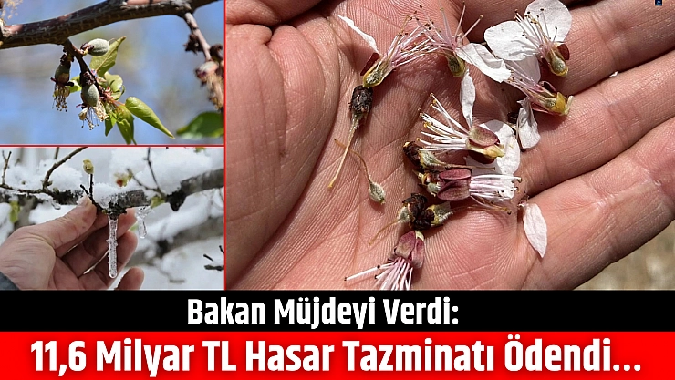 Bakan müjdeyi verdi: 11,6 milyar TL hasar tazminatı ödendi…