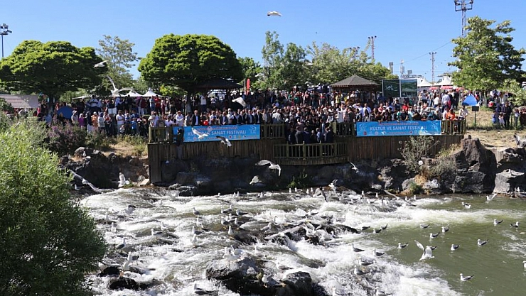 Bakan Tekin, inci kefali göçünü izledi