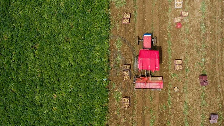 Bakan Yumaklı 'Tarımda Dönüşümün Yol Haritası'nı paylaştı: İşte detaylar