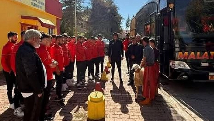 BAL Ligi'nde Sezon Başlıyor: Malatya Temsilcileri Galibiyet Peşinde