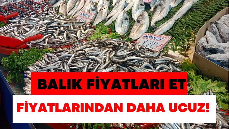 Balık fiyatları et fiyatlarından daha uygun!