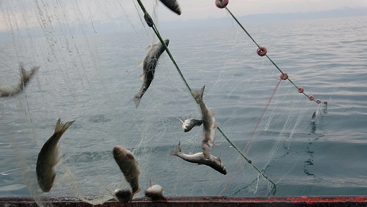 Balıkçılar mesaiye başladı!