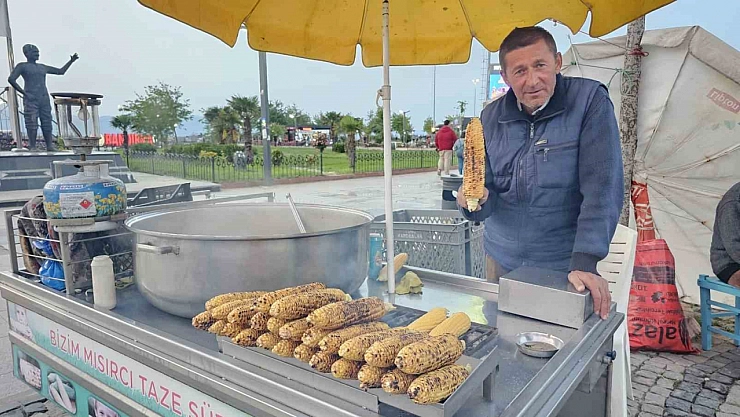 Bandırma süt mısırı tezgâhlarda yerini aldı