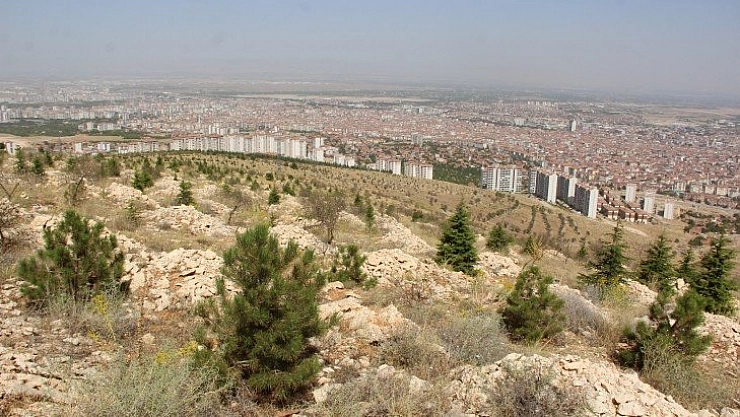 Başarı oranı yüzde 90