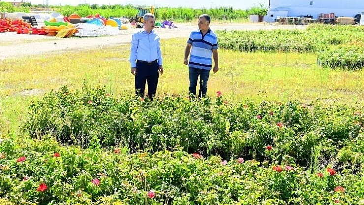 Çınar, incelemelerde bulundu