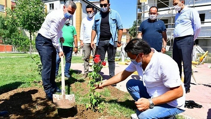 Fideler toprakla buluştu