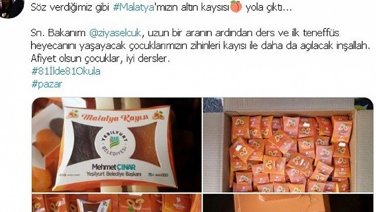 '81 il'de 81 okula kayısı'