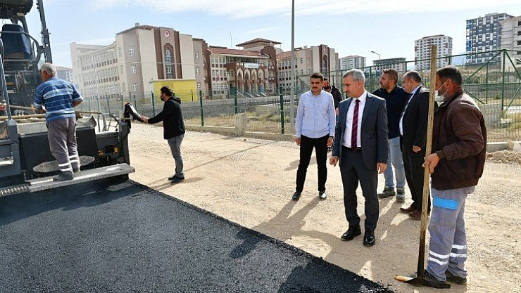 Çınar çalışmaları inceledi