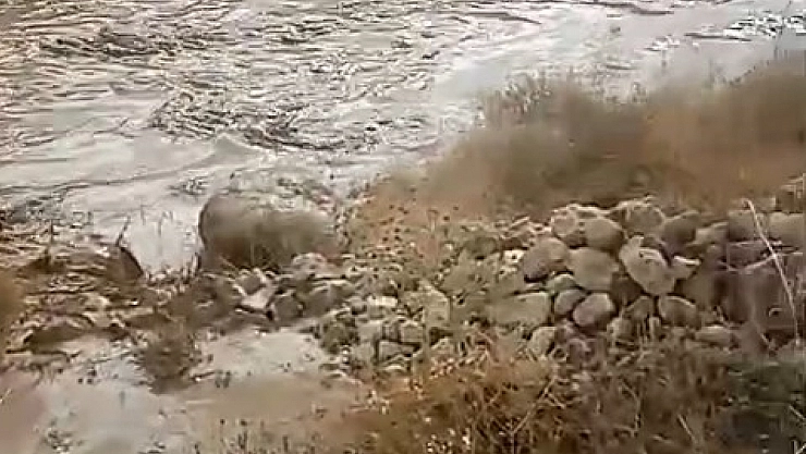 Baskil'de dereler taştı