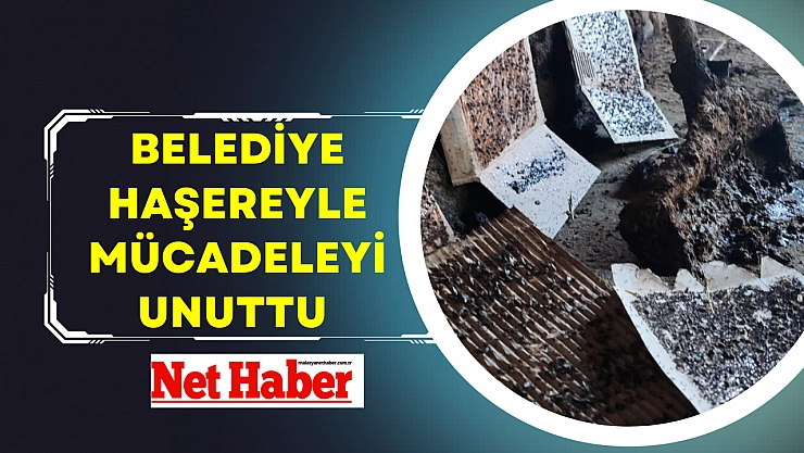 Belediye haşereyle mücadeleyi unuttu