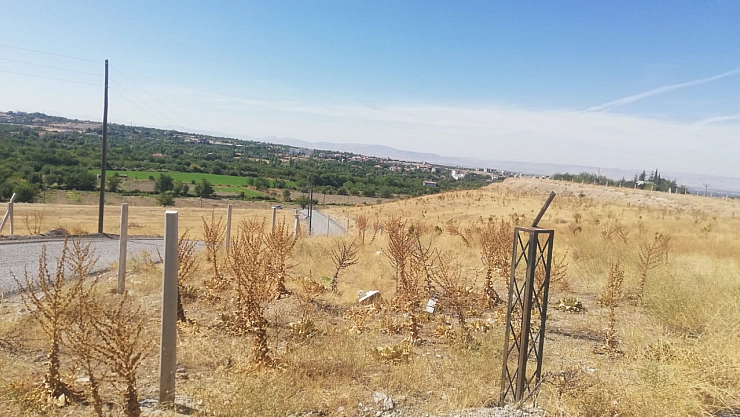 Belediyenin haberi yok!
