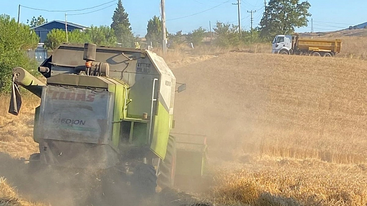 Belediyenin tarlasından ihtiyaç sahiplerinin sofrasına