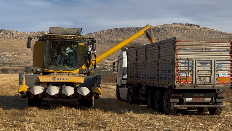 Biçerdöver Operatörlerinin Zorlu Mesaisi