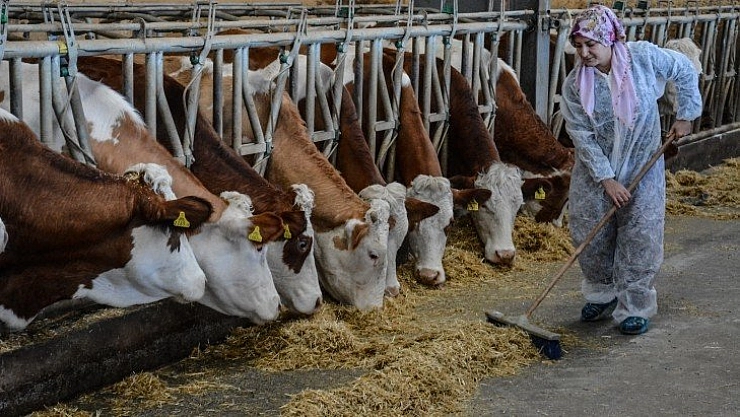 Bileziklerini satarak milyonluk tesis kurdu