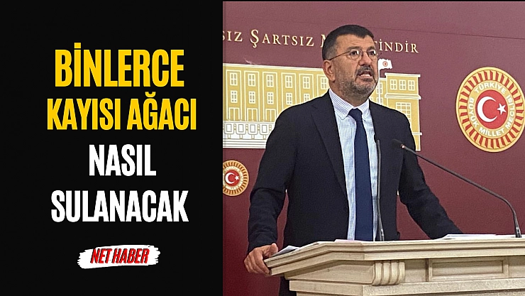 Binlerce kayısı ağacı nasıl sulanacak