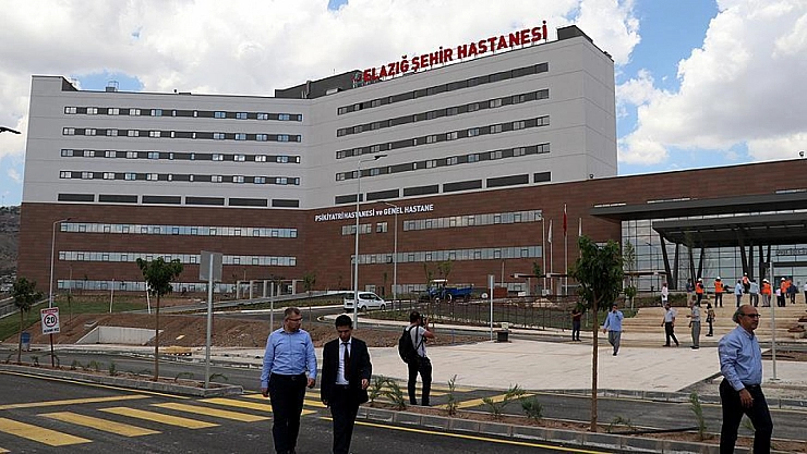 Böcek ısırığı hastanelik etti