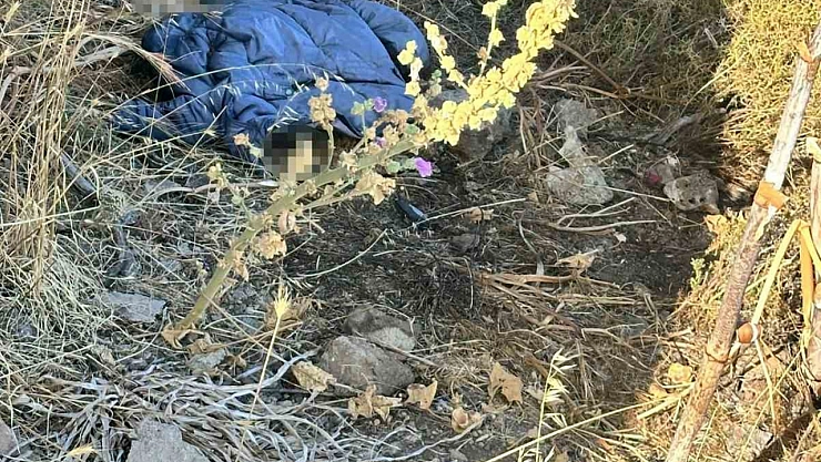 Bodrum'da insan kemikleri bulundu