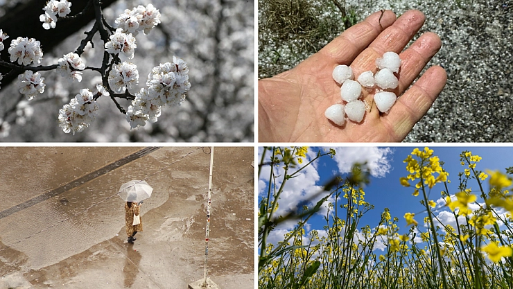 Böyle nisan ayı görülmedi! Önce don ve kar, şimdi güneş, yarın da Kırkindi yağmurları…
