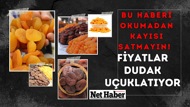 Bu haberi okumadan kayısı satmayın! Fiyatlar dudak uçuklatıyor!
