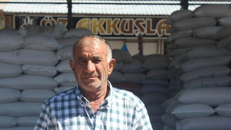 Buğday ucuz