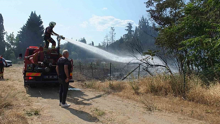 Burhaniye'de ot yangınları bitmiyor