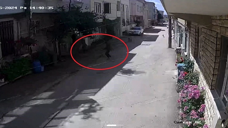 Bursa'da sokak köpekleri 3 çocuğa saldırdı!