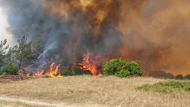Bursa Valiliği: 'Kontrol altına alındı'