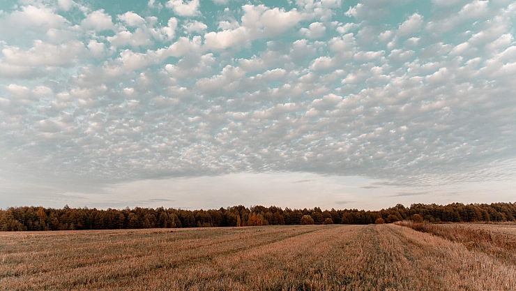 Çevre Şehircilik duyurdu: Malatya'da hazineye ait parseller satılacak!