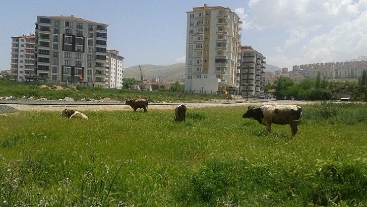Başvurular 7 Temmuz'a uzatıldı