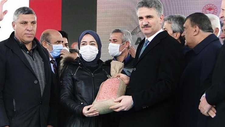 Dağıtılan arpa ve buğdayın ekimi başladı