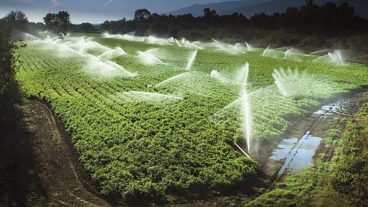 Çiftçilere yüzde 50 destek