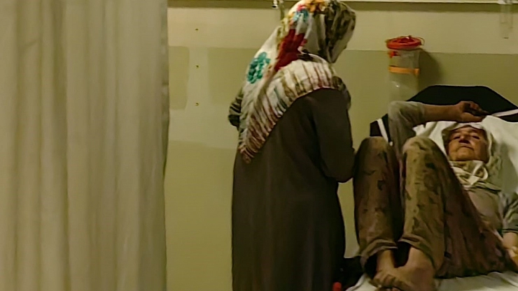 Çilek toplarken yılan ısırdı