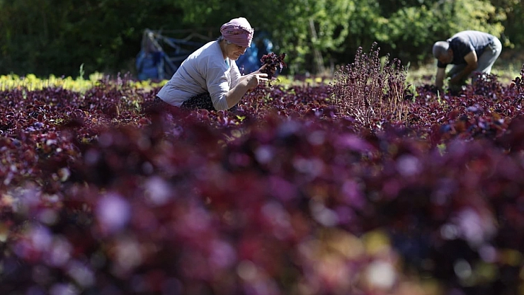 Çocuklardan Malatya'ya 'Düşler Atölyesi' Dokunuşu