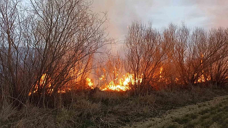 Darende'de iki bahçe yangını