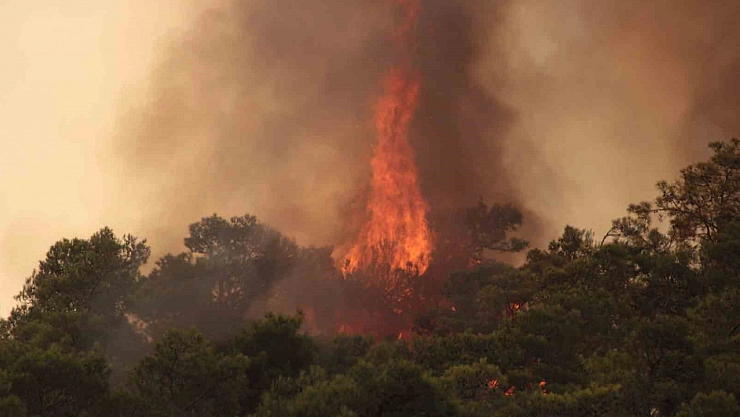 Orman yangınlarına önlem!