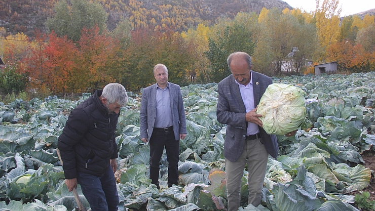 Dededen toruna miras: 20 kilo ağırlığında üretiliyor...