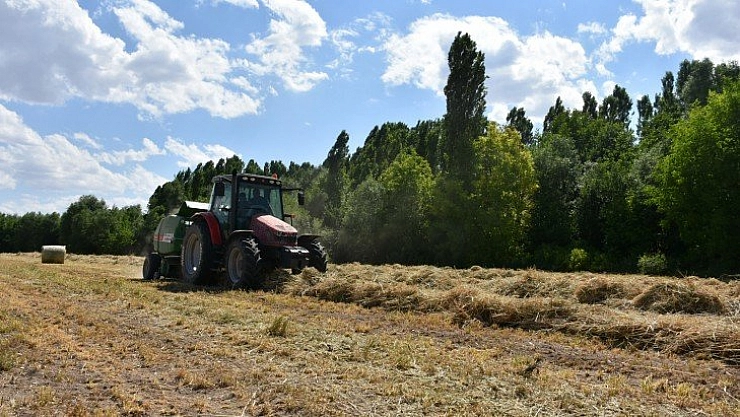 Deneme ekimi yüzleri güldürdü