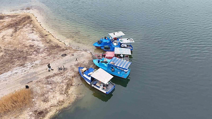 Malatya'nın gelir kapısı oldu: Günlük 2 ton toplanıyor, Ortadoğu ülkelerine satılıyor…