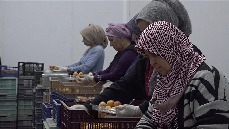 Depremzede girişimcilere 200 milyon liralık ilave destek