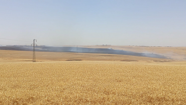 Diyarbakır'da bin dönümlük buğday ve arpa tarlası küle döndü
