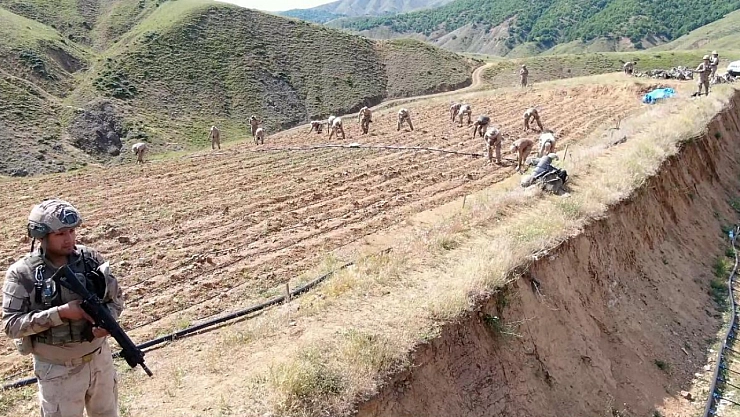 Diyarbakır'da büyük uyuşturucu operasyonu