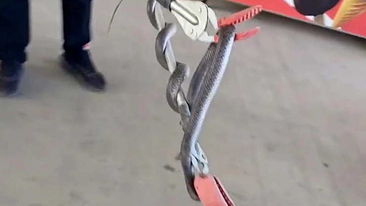 Diyarbakır'da markete giren yılan itfaiye erleri tarafından yakalandı