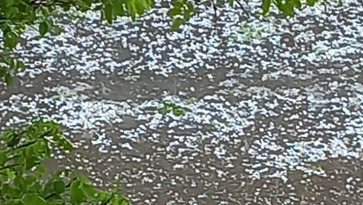 Dolu kayısıya zarar verdi