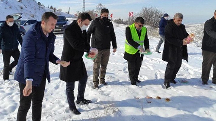 Doğaya yem bırakıldı