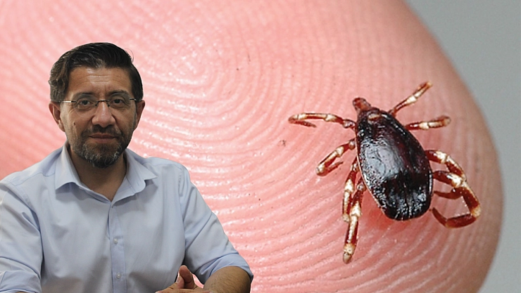 Dr. Çiftçi'den kene uyarısı: Malatya riskli iller arasında….!