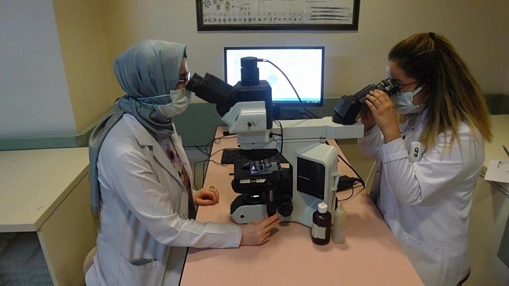 Dünya genelinde 350 milyon kişi hepatit ile yaşıyor