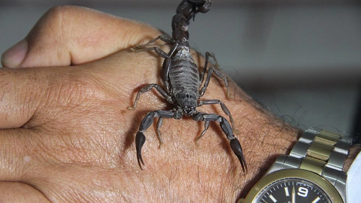 Dünyanın en pahalı sıvısı: gramı 10 bin dolara satıyor