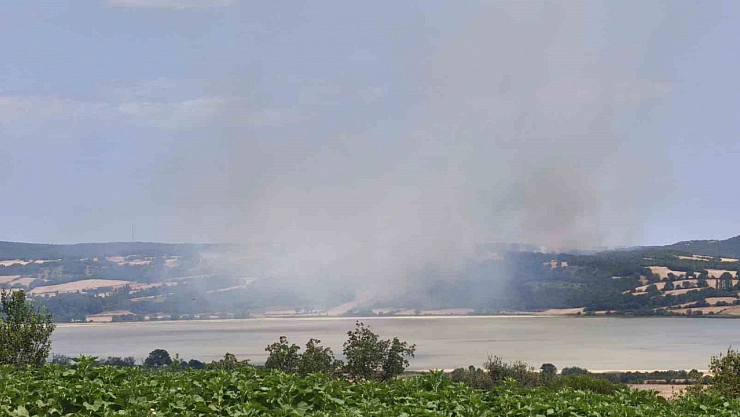 Edirne'de orman yangını kontrol altına alındı