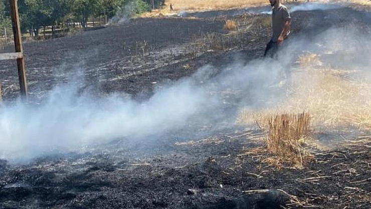 Ekili alan küle döndü!