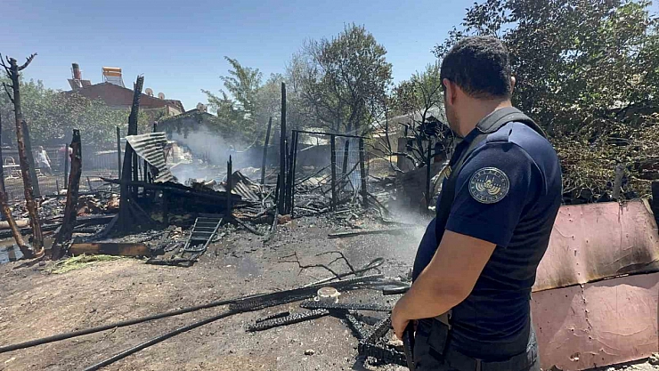 Elazığ'da 15 keçi, 29 tavuk telef oldu